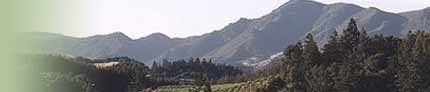 Napa Valley
